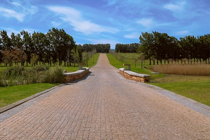 Anura Access Road