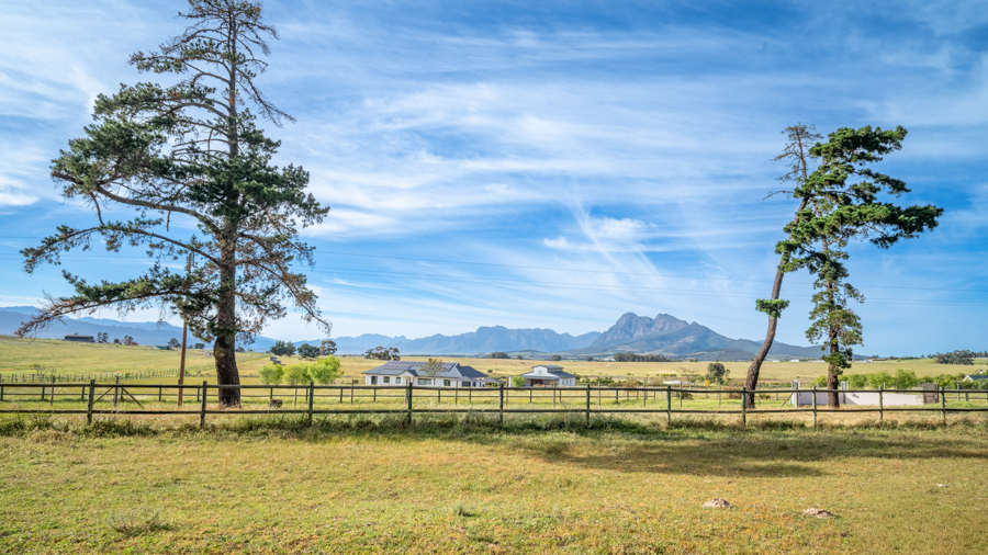 DSC_2364-HDR-2