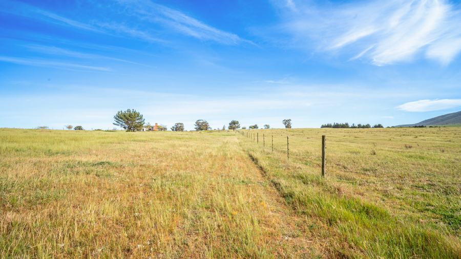 DSC_2419-HDR