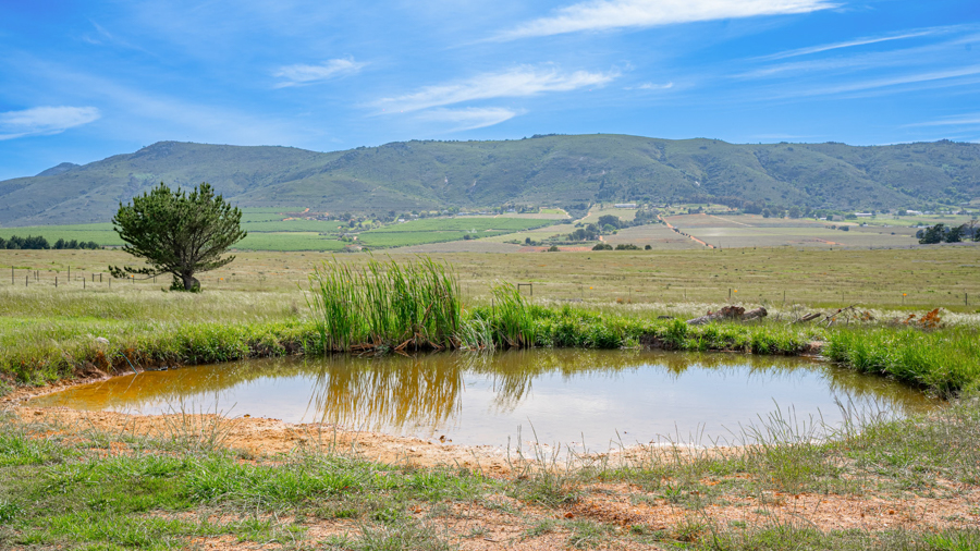 DSC_2819-HDR