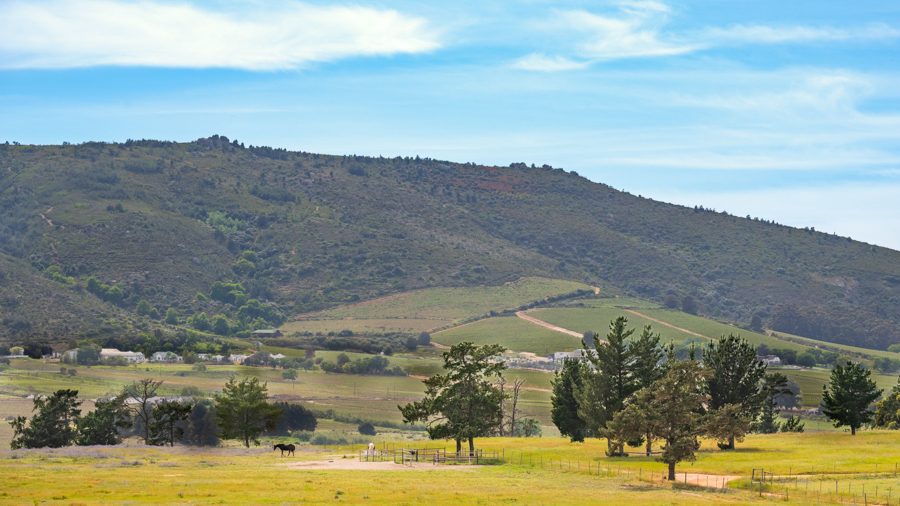 DSC_2929-HDR-2