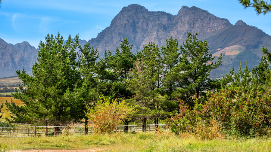 DSC_2954-HDR