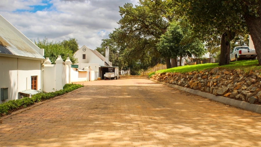 IMG_0040-2